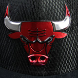 Chicago Bulls